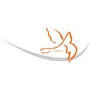 Debt Consolidation Care logo