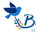 Bluebird Cleaning Company logo