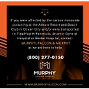 Murphy, Falcon & Murphy logo