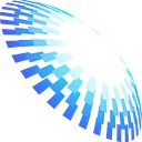 Diligize logo