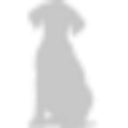 Puppy Trained Right logo
