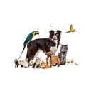 Paws & Claws logo