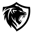 Night Lion Security logo