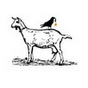 Hidden Springs Homestead logo