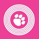 Disco Paws logo