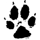 Wolf Conservation Center logo