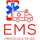 EMS Dev Solutions logo