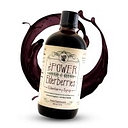 The Power of Elderberries logo