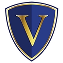 Vanguard Insurance Group logo