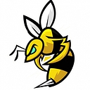 StingBox logo