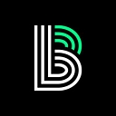 Big Brothers Big Sisters of Long Island logo