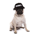 Cyber Safety Watchdog logo