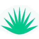 Mina Real Mezcal logo