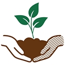 Seed St. Louis logo