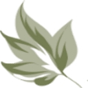 AcneClinicNYC logo