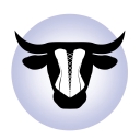 Bull City Boudoir logo