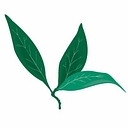Pepperwood Preserve logo