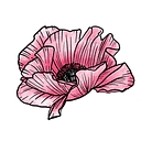 Pink Poppy Media logo