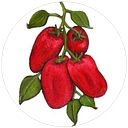 Posardi logo