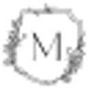 Michelle Rose Photo logo