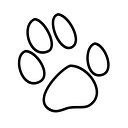 iCat Solutions logo