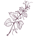 Natasha Lamalle Photography logo