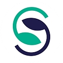 StepChange.Earth logo
