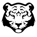 Black Tiger Tech logo