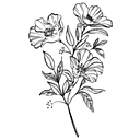 Pashai's Home logo