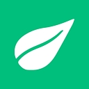 Brauer logo