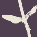 Kimikura logo