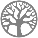 DiamondWish logo