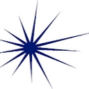 Central Hudson Gas & Electric logo