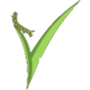 Choose Natives logo