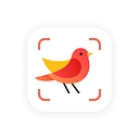 Picture Bird logo