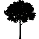 Trees-SA logo