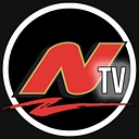 Nielsen Enterprises logo