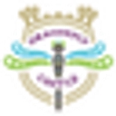 Dragonfly Castle Toys logo