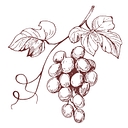 Vincella logo
