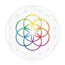 Truly Divine logo