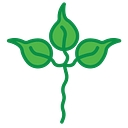 REEP logo