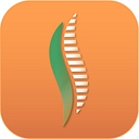 Pulstar logo