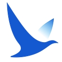 BizSuccess Consulting Group logo
