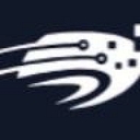 WinPEAS logo