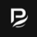 Promptise logo