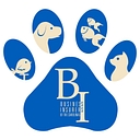 Business Insurers logo