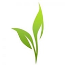 Susan Greene Copywriter logo