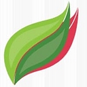 Green Smoothie Gourmet logo