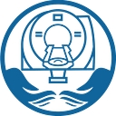 DI Insights logo