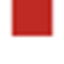 Dr Matt Lynch logo